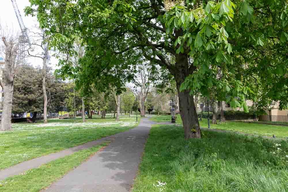 Rush Common